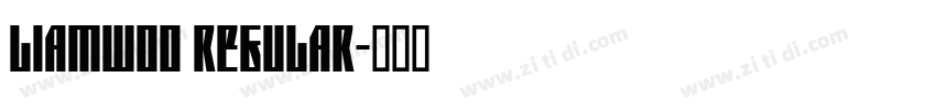 LiamW00 Regular字体转换